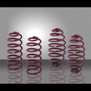 BMW Z3 M Coupe Vogtland Lowering Springs
